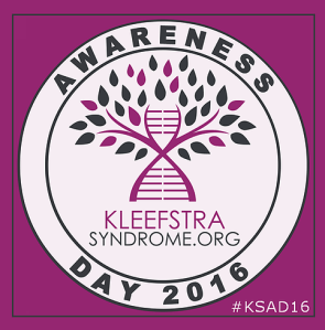 2688d5_496965e4f35240a28830ac83f1507ecdmv2